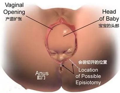 45岁女性怎么紧致脸部肌肤,45岁十大最建议买的suv