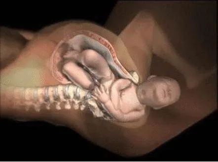 45岁女性怎么紧致脸部肌肤,45岁十大最建议买的suv