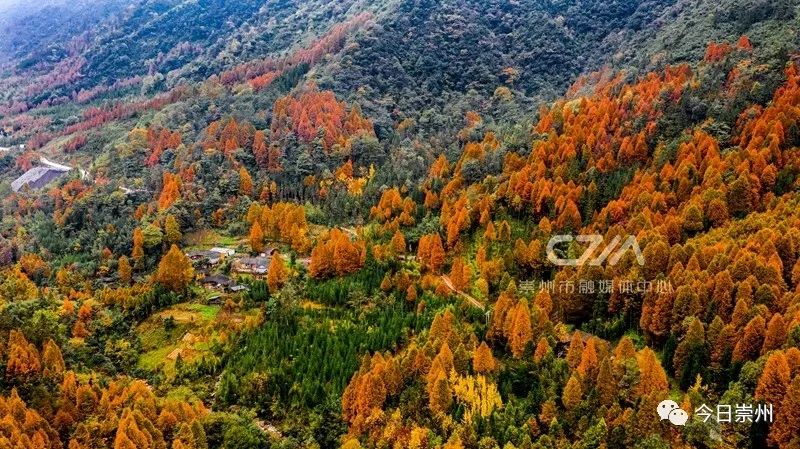 初秋彩林成都周边秘境,成都附近彩林秘境