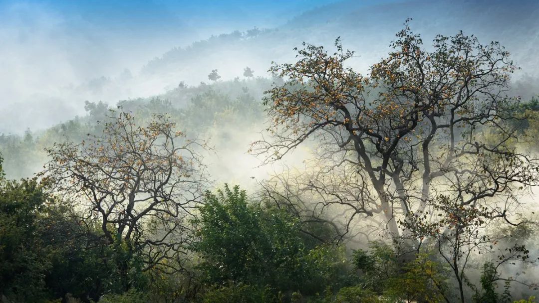 最美乡村游推荐湖北,10条线路村游湖北
