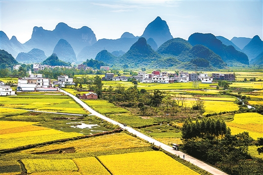 力克难中之难交出完美答卷｜广西脱贫攻坚收官特别报道