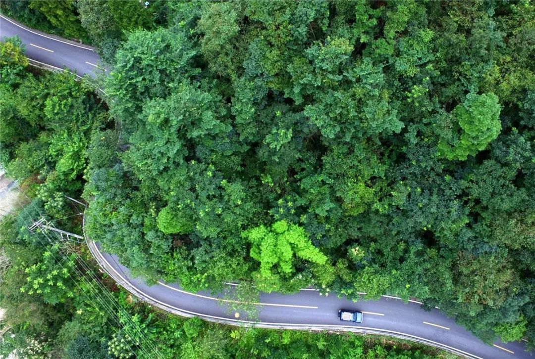 鑸媿褰窞鍏ㄦ櫙瑙嗛,鍑犱綍鑸媿