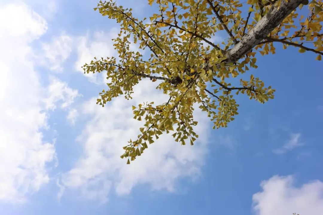 清北现在的情况,清北最新消息