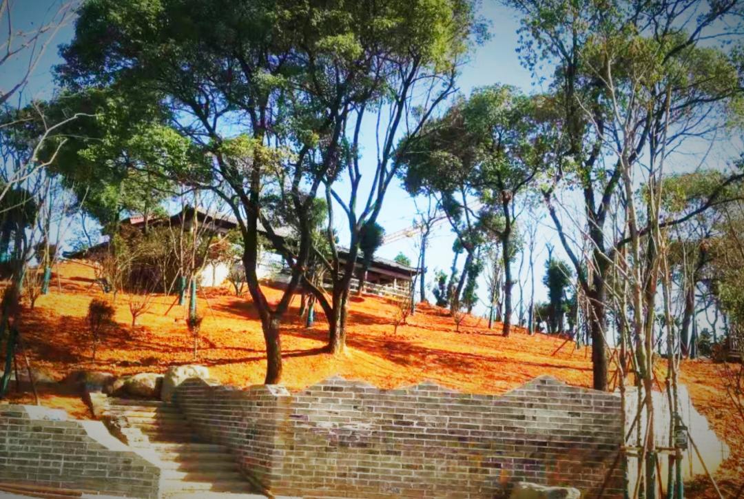 建设“精美长沙”,雨花人在向前冲