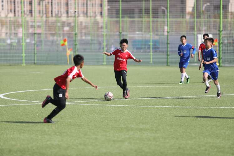 青岛市崂山区区长杯小学足球,崂山满天星足球