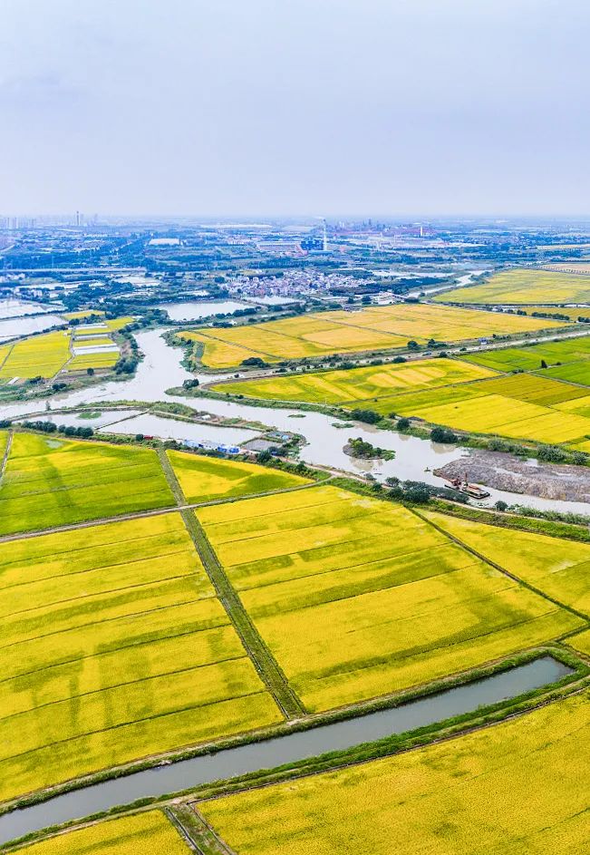江苏溧阳旅游胜地在哪里,江苏溧阳哪里好玩