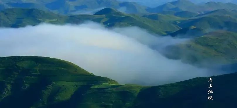 云巅金马池,诗意的远方