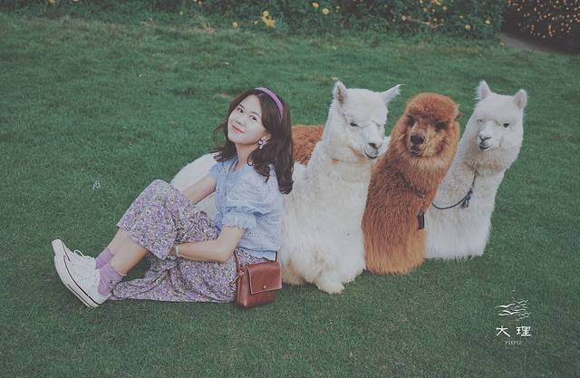 长沙自驾去大理多少钱,生活需要惊喜自驾直奔大理