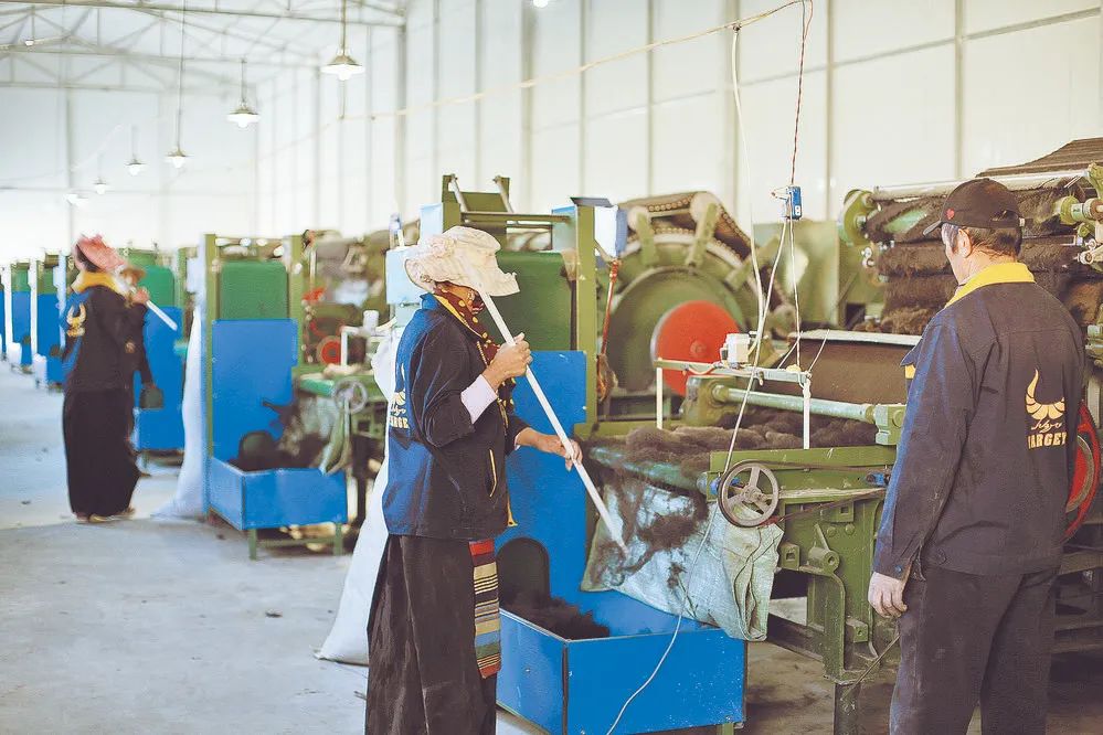 记者走企业·聚焦高质量发展③丨牦牛绒一斤卖到40多元,理塘这家公司“变废为宝”