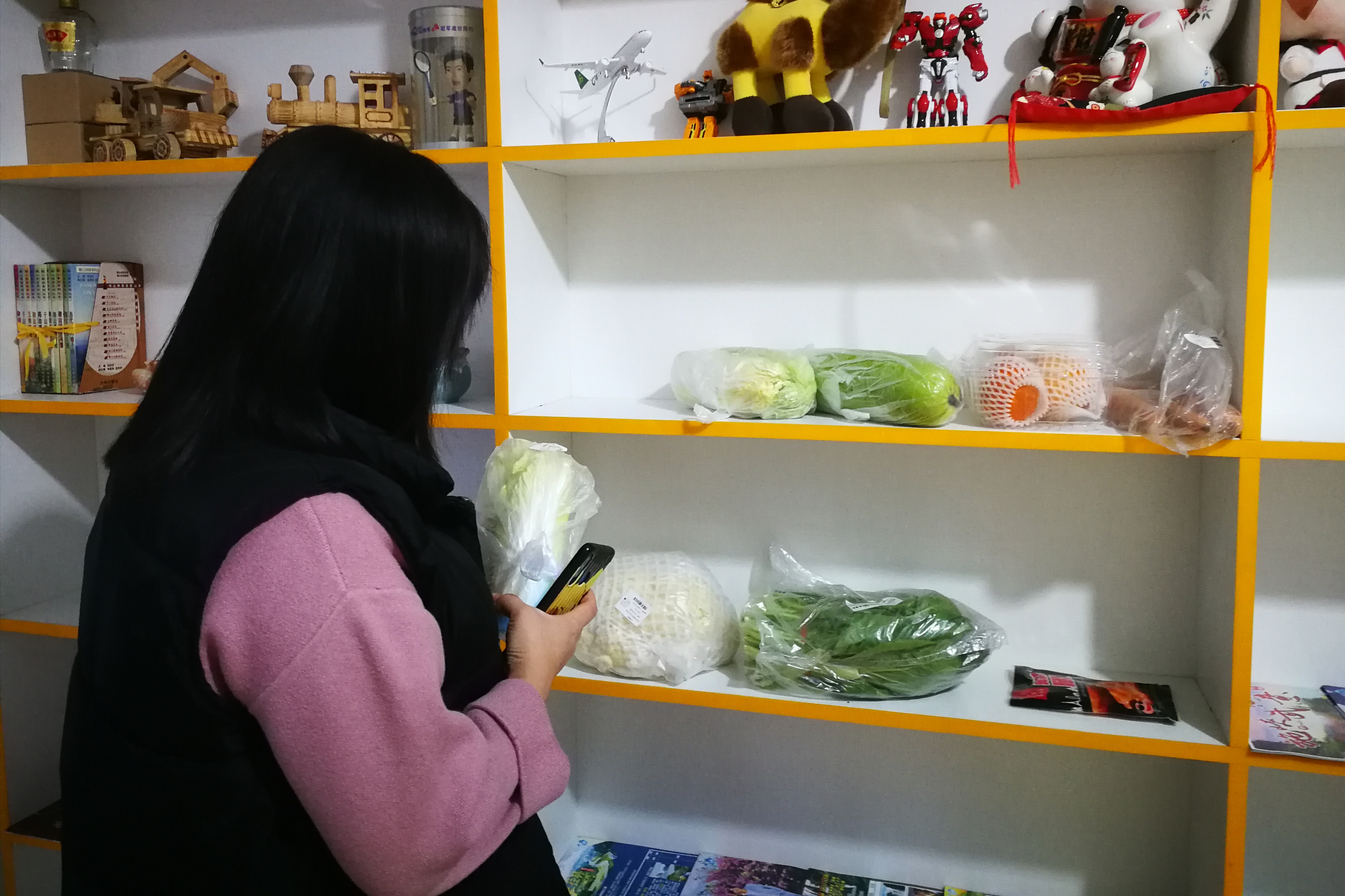 鞍山社区团购平台哪家好,鞍山社区团购网站