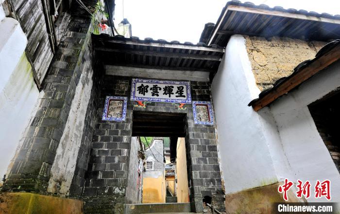 坦洋工夫红茶哪里正宗,中国十大工夫红茶