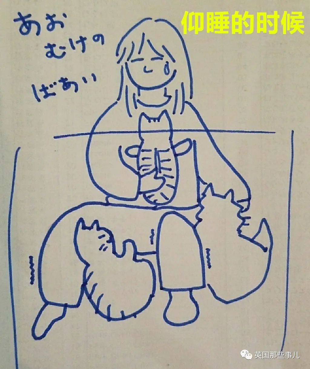 多猫家庭猫咪也会尿闭吗,多猫家庭为什么不能洗澡