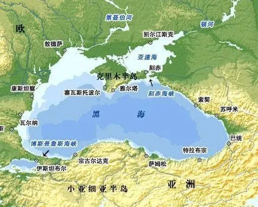 林子大了什么鸟都有下一句,林子大了啥鸟都有歌曲