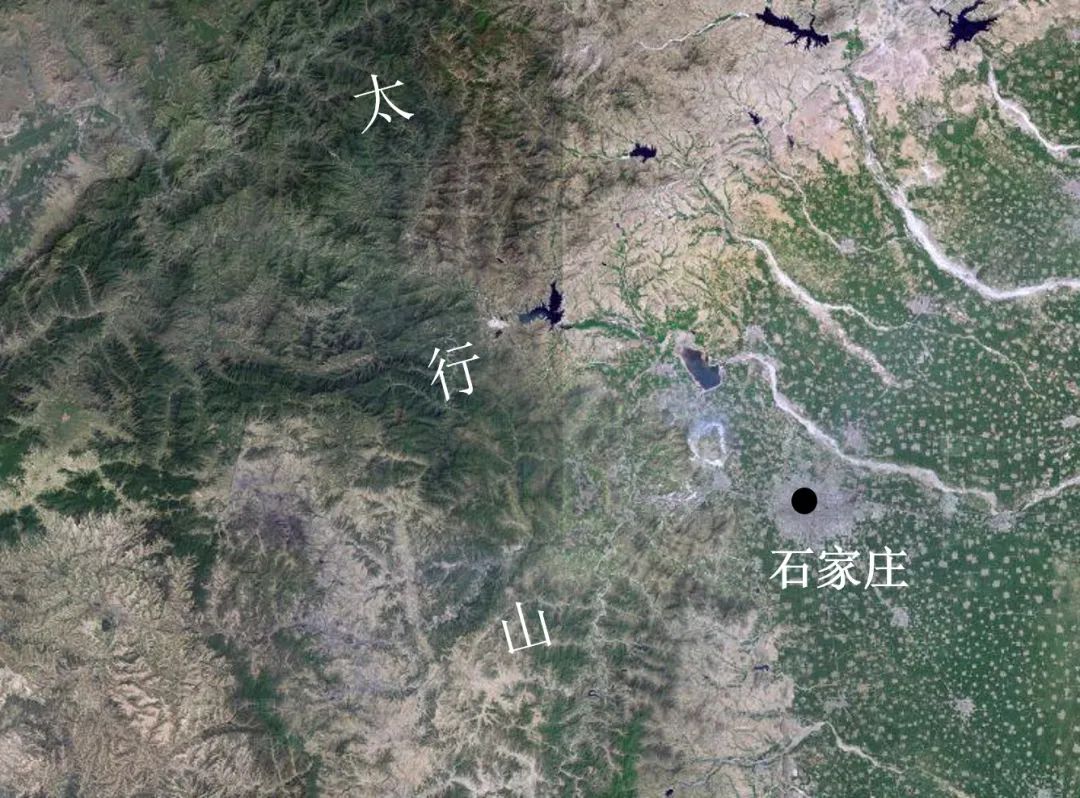 林子大了什么鸟都有下一句是什么,林子大了啥鸟都有讽刺图片