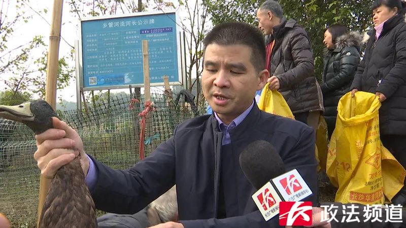 转发扩散!手机下单就能买鸭,购买流程看这里