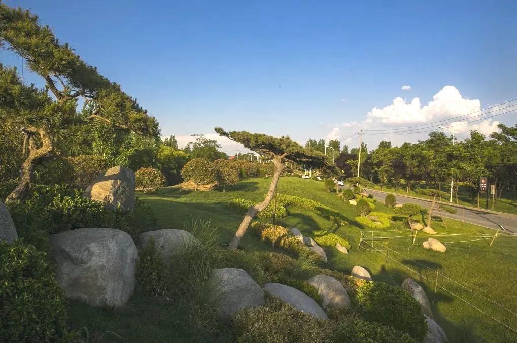 杜邑公园雪景,杜邑遗址公园6月风景