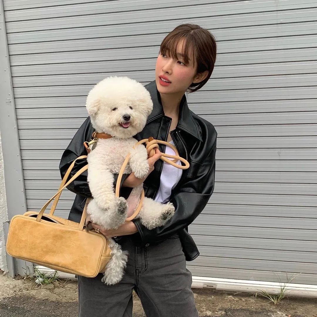 潮韩穿搭女,韩国明星秋装穿搭