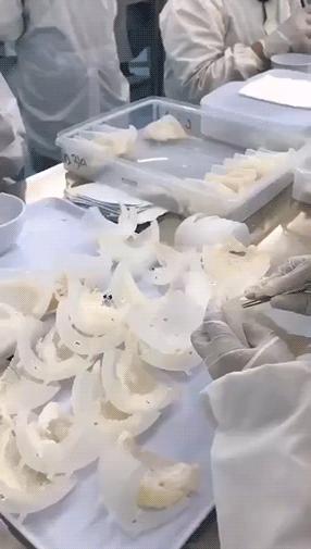 快手网红辛巴燕窝事件,快手燕窝事件处罚结果