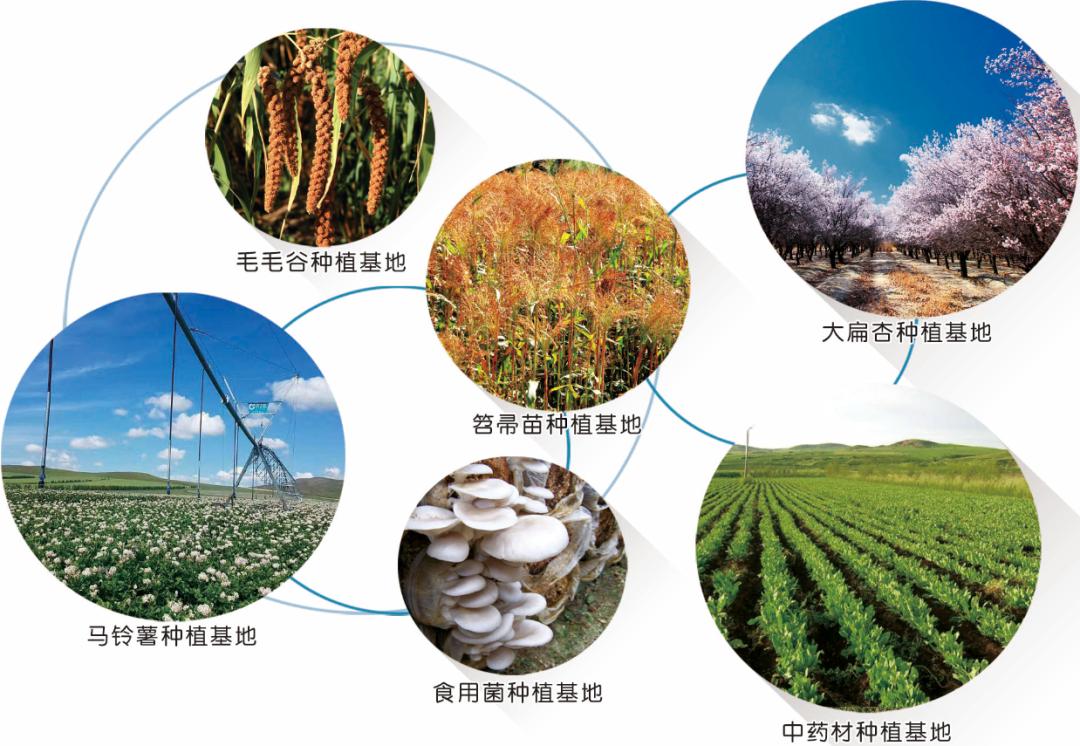 投资巴林,投资热土创业项目