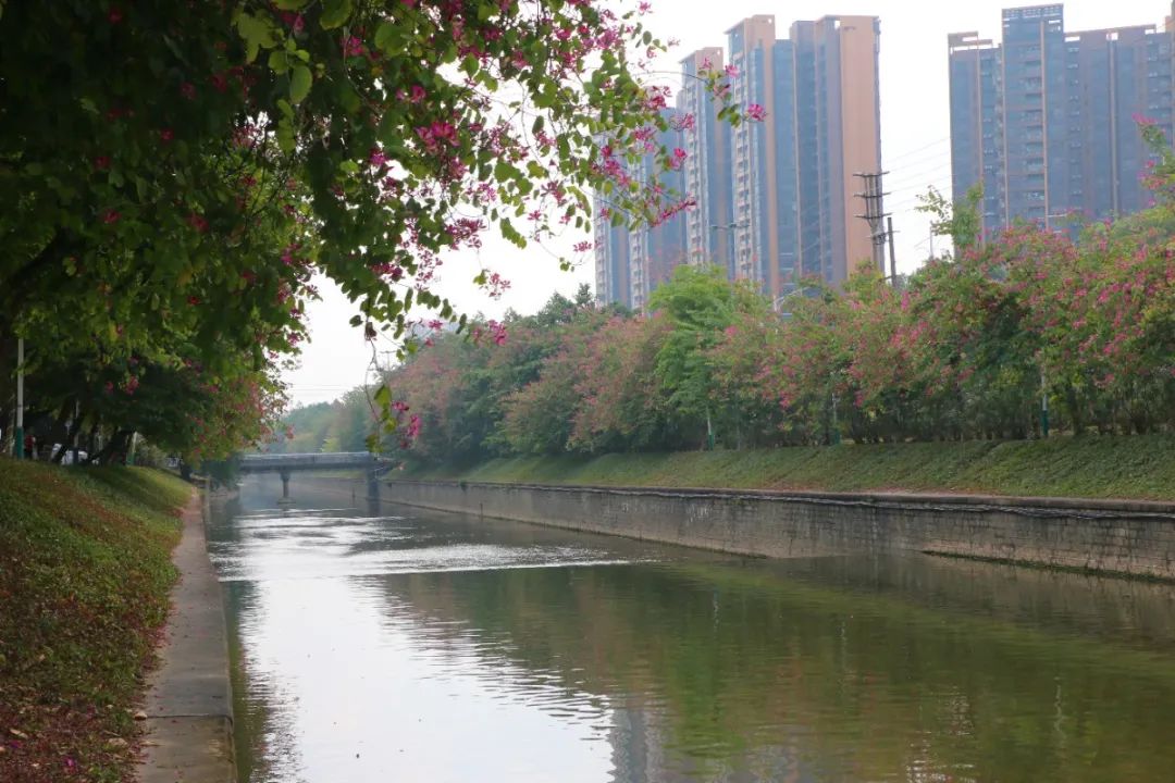 鍏卞缓灞辨竻姘寸瀹跺洯鍥剧墖,鍏卞缓灞辨竻姘寸瀹跺洯瑙勫垝