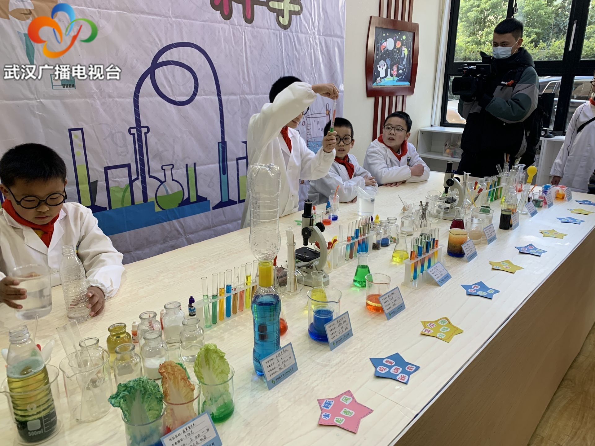 武汉光谷文化节,武珞路小学石牌岭分校揭牌仪式