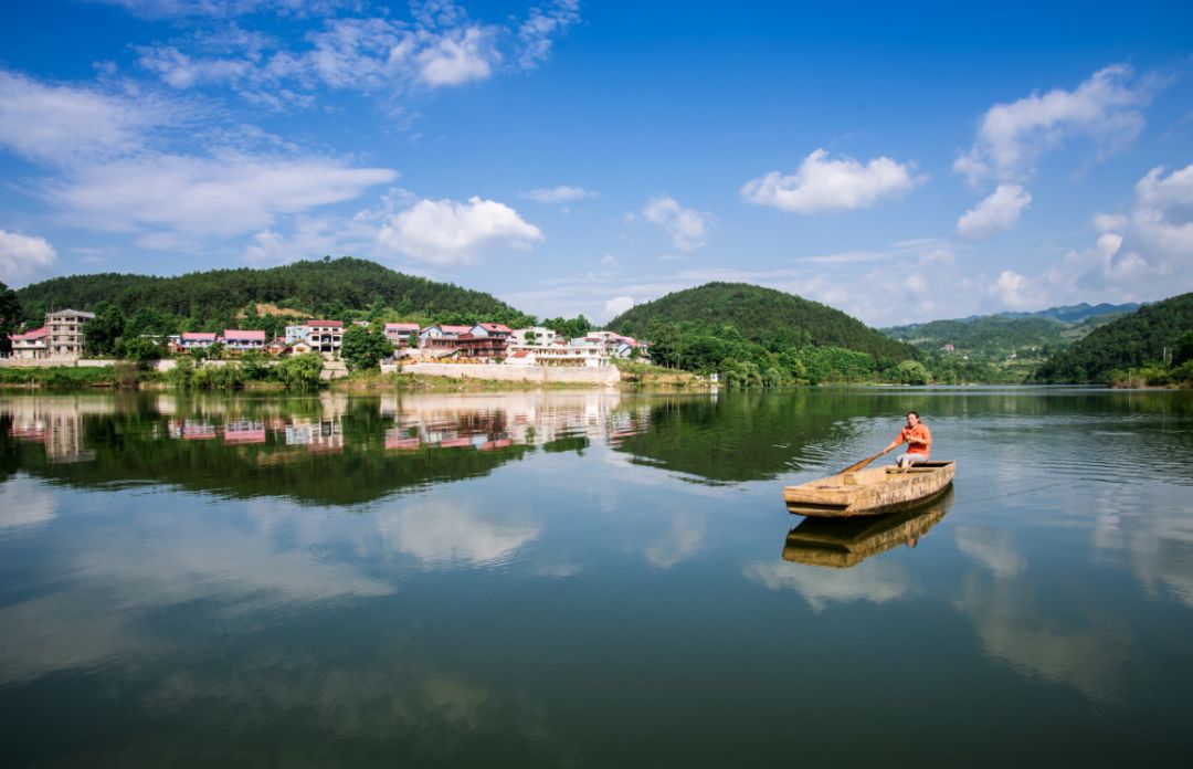 黔西北回忆,黔西北百里杜鹃第一村