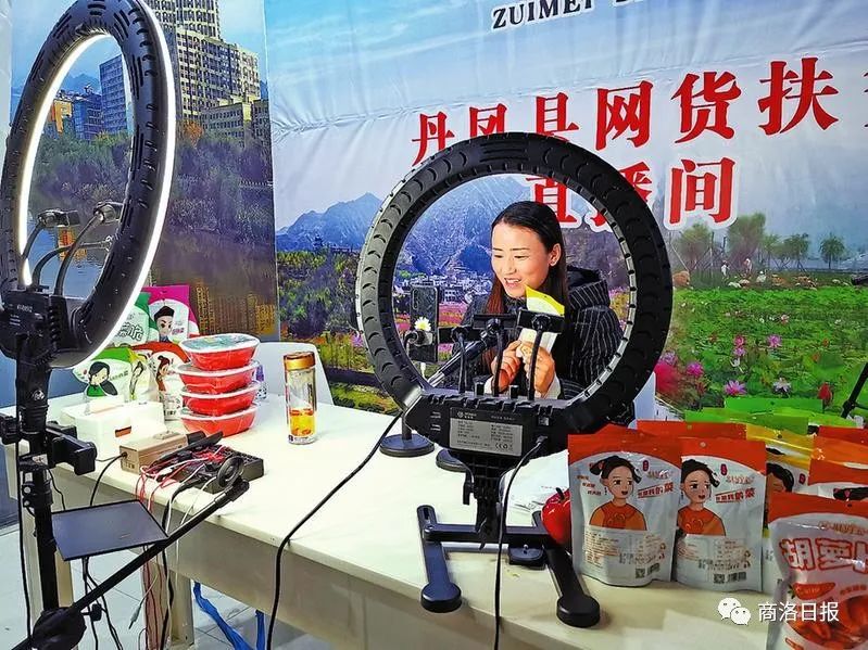 网红经济引领消费前景,乡镇网红电商发展情况