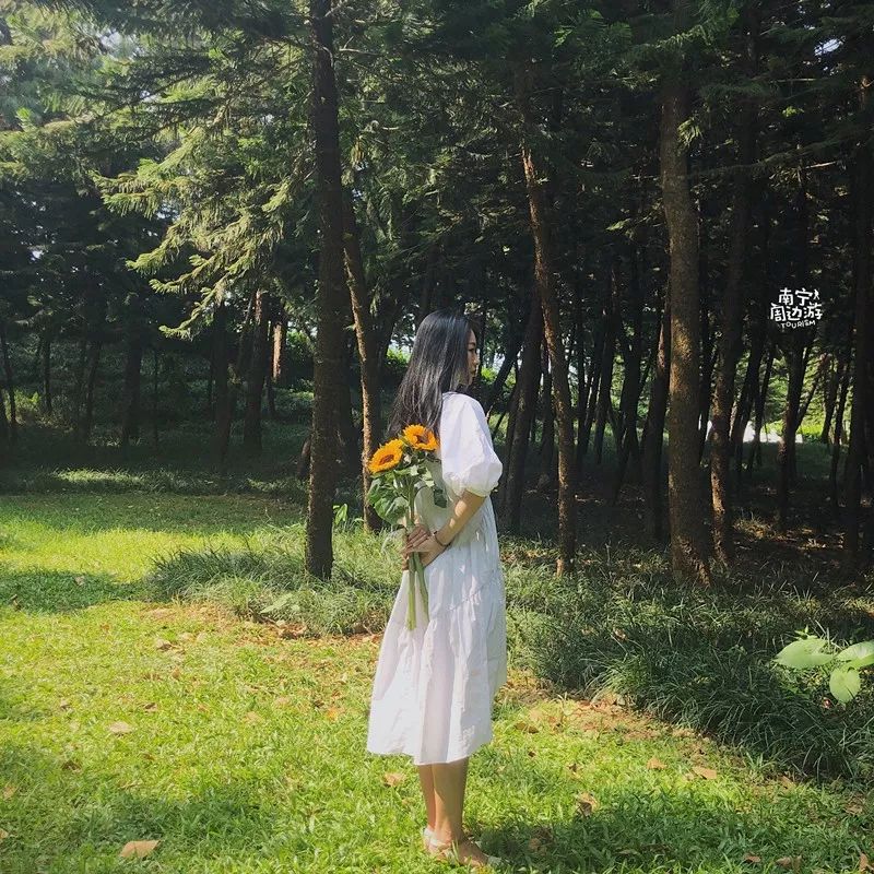 南宁适合一日游攻略,南宁免费玩的地方