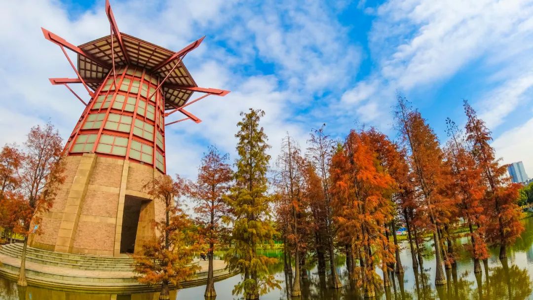 1月最美的佛山藏在这里！全部免费赏！