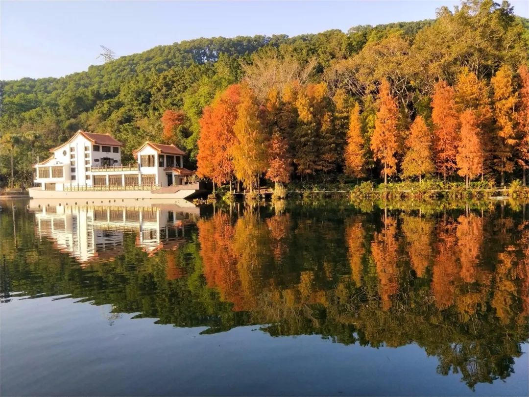 深圳值得打卡拍照的地方10月份,深圳绝美打卡地三月份