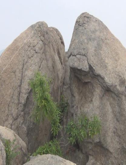 女娲伏羲出土壁画,汉墓出土伏羲女娲画像