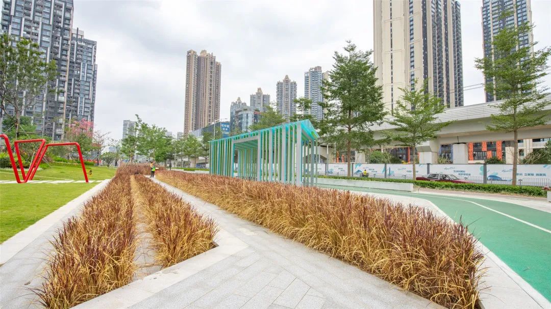 [春节留深]龙华游园攻略之民治街道篇