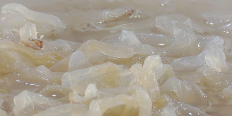 头条：滨海“十大好物”名单出炉