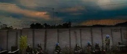 北大同学的“年度之书”和“年度电影”,快来收下这份安利