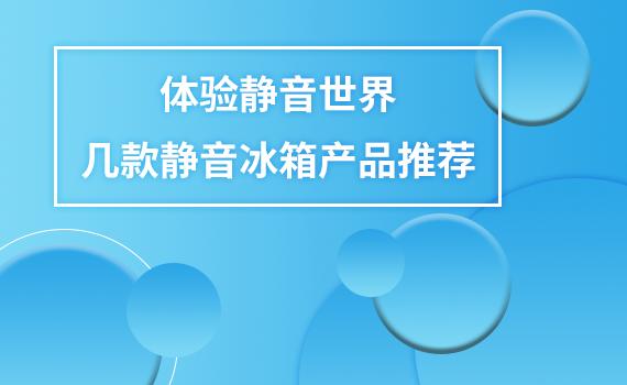 公认静音最好的进口品牌冰箱,推荐一款静音最好的冰箱