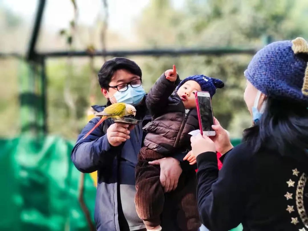 同城度假民宿,同城旅游民宿入住