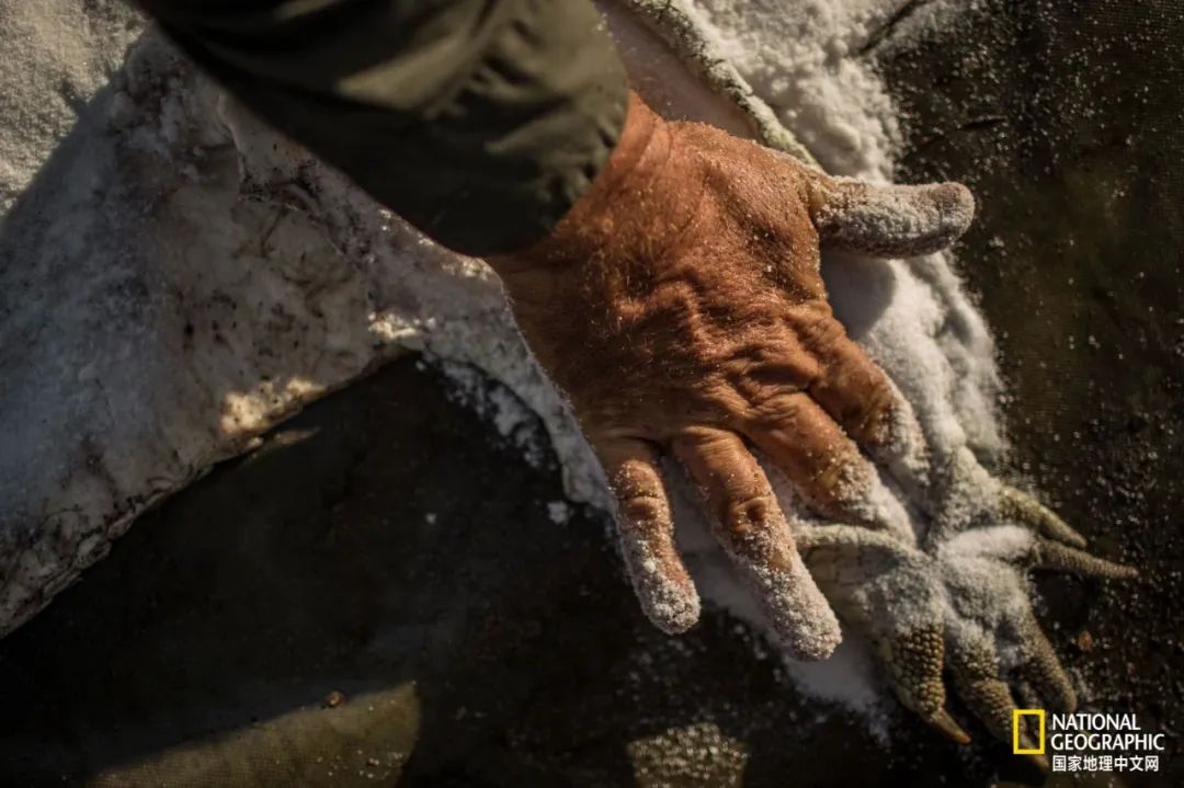 槌勯奔鑱屼笟鐚庝汉,槌勯奔鐚庝汉骞磋柂