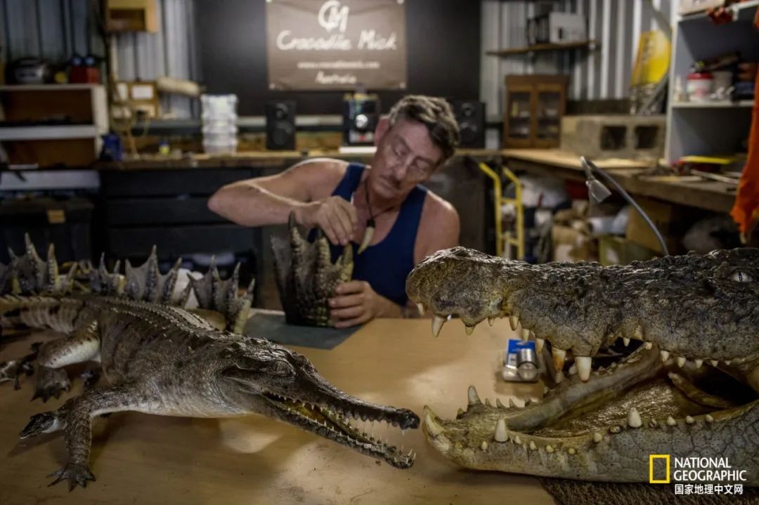 槌勯奔鑱屼笟鐚庝汉,槌勯奔鐚庝汉骞磋柂