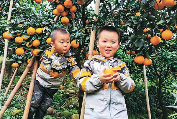 分享姐跨界做微商,分享姐跨界创业