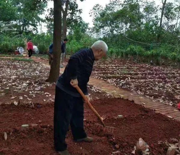 魅力北庄大块镇村庄风采展示,魅力陈堡大块镇村庄风采展示
