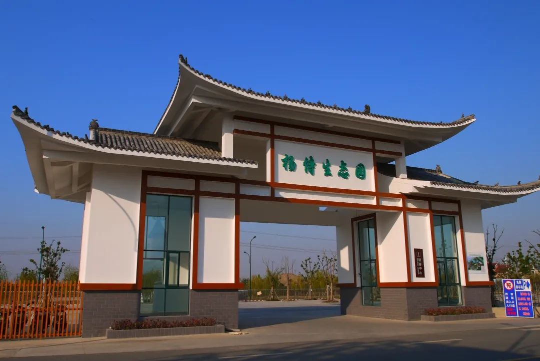 带你看盐城风景,牛年看牛展2021新春展等你来打卡