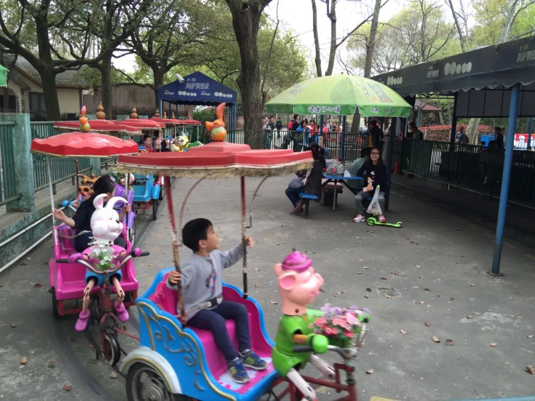 周边游玩推荐适合带孩子的公园,最好玩的主题公园排名前十