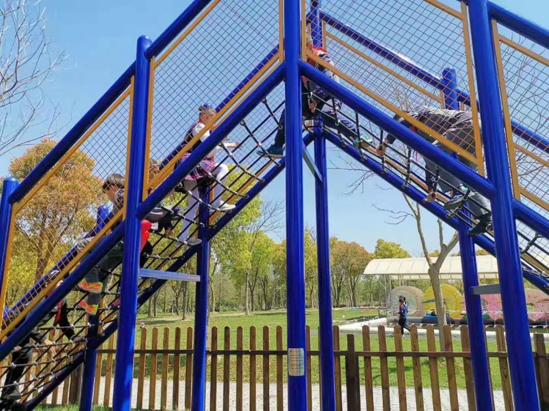 周边游玩推荐适合带孩子的公园,最好玩的主题公园排名前十