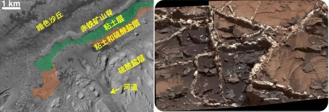 天问少年逐梦未来,天问逐梦进博会