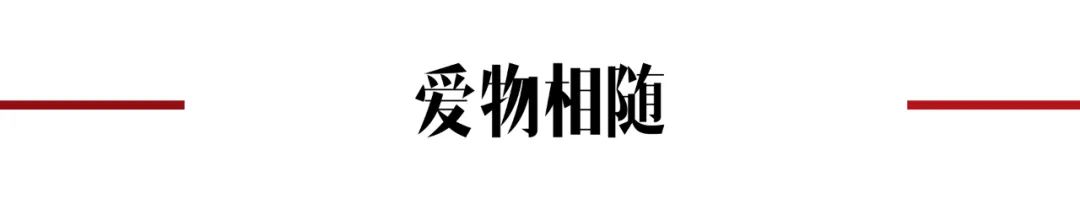 lovestory爱的故事,有lovestory的视频