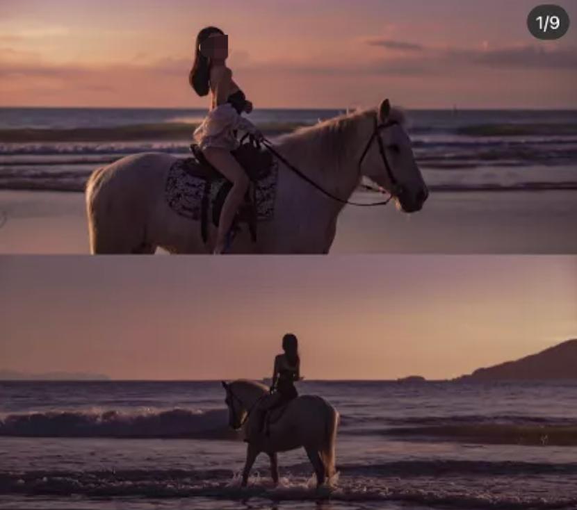 一马难求！网红在逃公主风把马都拍涨价了