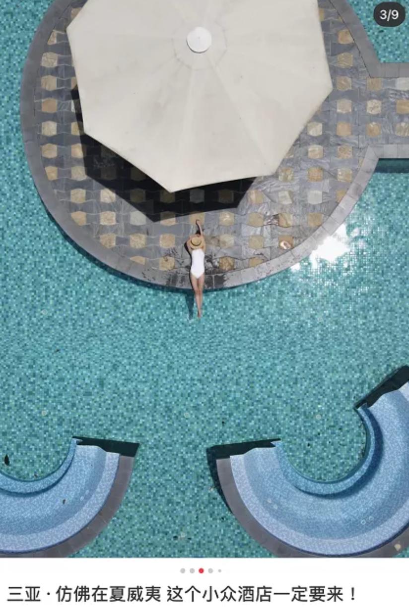 一马难求！网红在逃公主风把马都拍涨价了