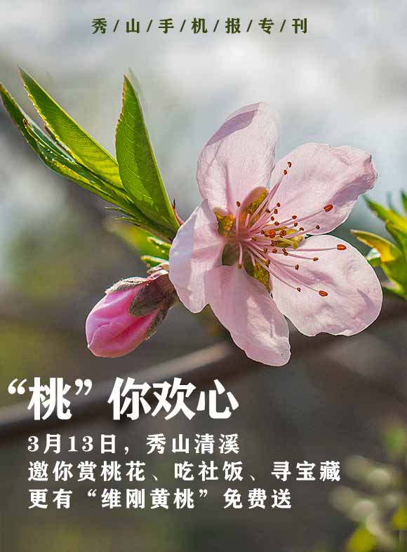 “桃”你欢心！秀山清溪邀你赏桃花、吃社饭