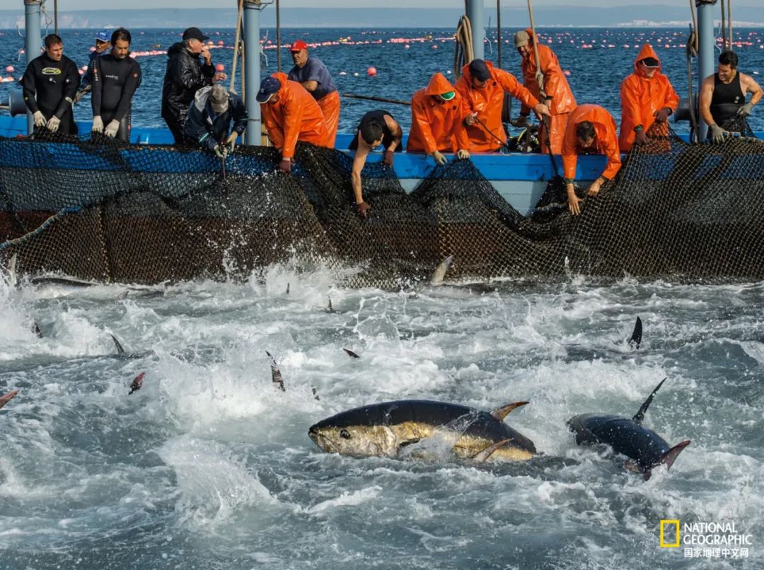 娴疯睔鏈夊瀹夊叏,娴疯睔鍓嶉儴闃叉挒鎻愮ず