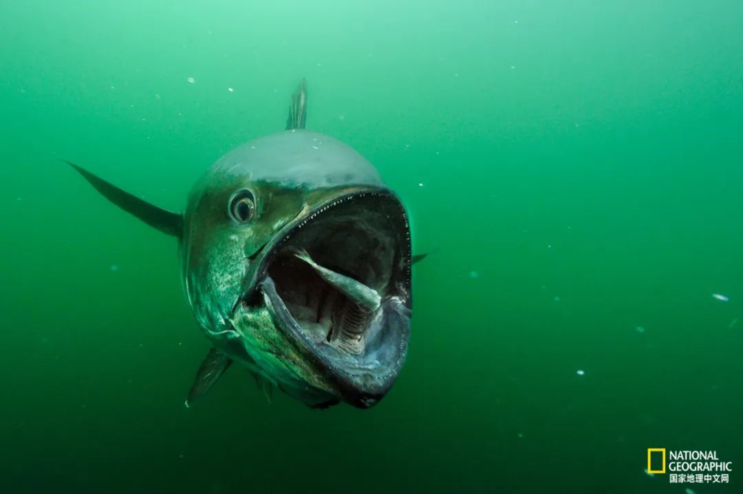 娴疯睔鏈夊瀹夊叏,娴疯睔鍓嶉儴闃叉挒鎻愮ず